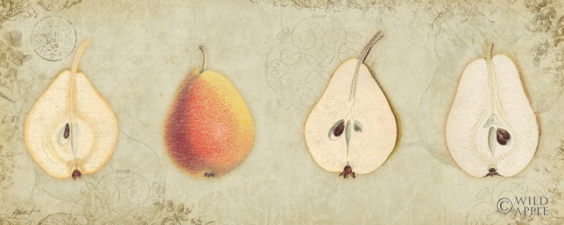 Reproduction of Pear Quartet by Katie Pertiet - Wall Decor Art