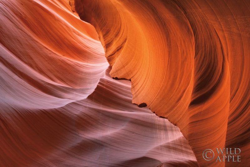 Reproduction of Lower Antelope Canyon I by Alan Majchrowicz - Wall Decor Art