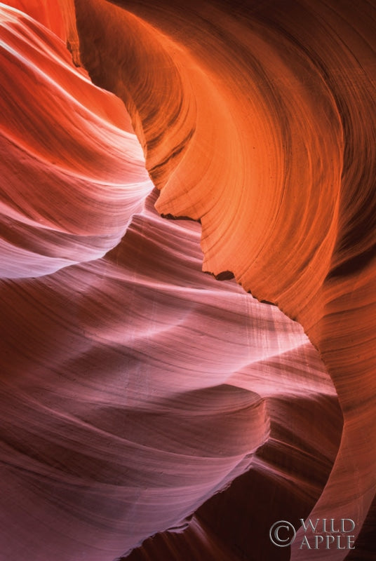 Reproduction of Lower Antelope Canyon VIII by Alan Majchrowicz - Wall Decor Art