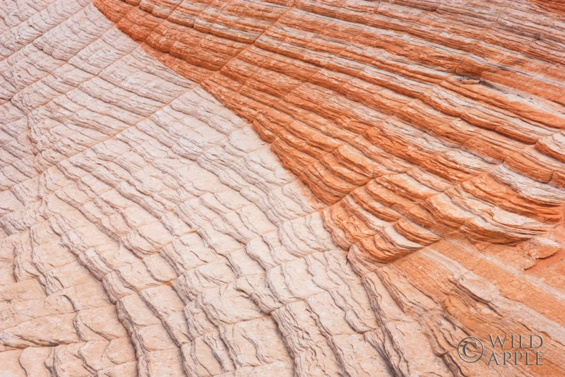 Reproduction of Coyote Buttes VI by Alan Majchrowicz - Wall Decor Art