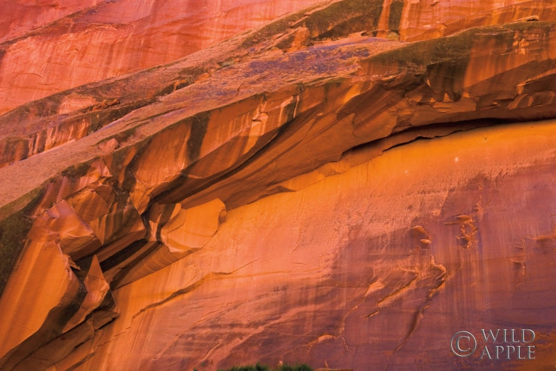 Reproduction of Neon Canyon II by Alan Majchrowicz - Wall Decor Art