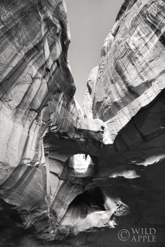 Reproduction of Neon Canyon I BW by Alan Majchrowicz - Wall Decor Art