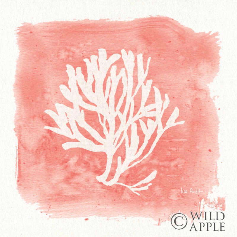 Reproduction of Water Coral Cove III by Lisa Audit - Wall Decor Art