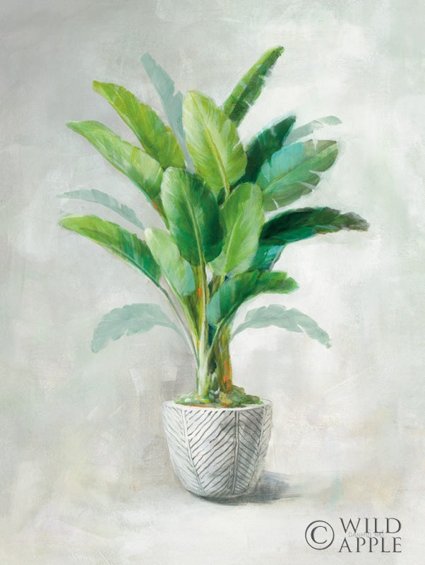 Reproduction of Greenhouse Palm II by Danhui Nai - Wall Decor Art