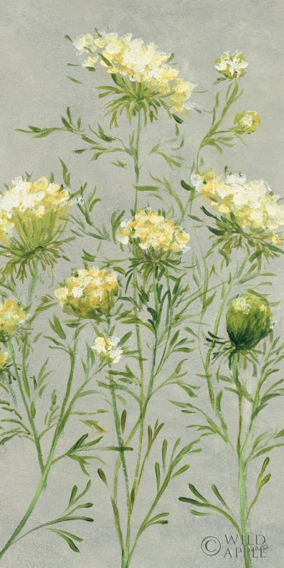 Reproduction of Queen Annes Lace III Yellow by Julia Purinton - Wall Decor Art