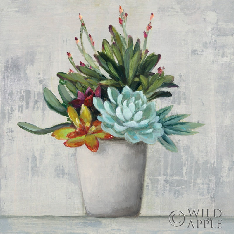 Reproduction of Succulent Still Life I by Julia Purinton - Wall Decor Art