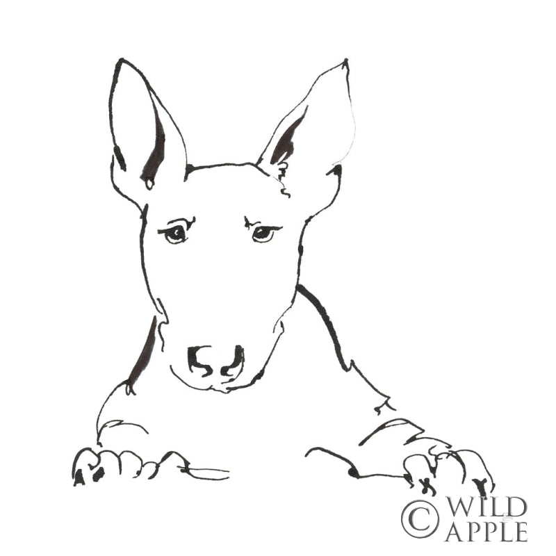 Reproduction of Line Dog Bull Terrier by Chris Paschke - Wall Decor Art