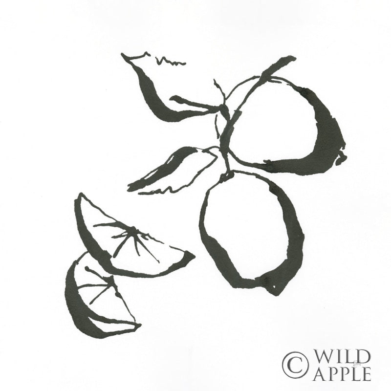 Reproduction of Limes BW by Chris Paschke - Wall Decor Art