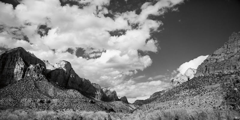 Reproduction of Zion Canyon II by Laura Marshall - Wall Decor Art