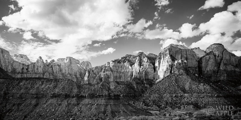 Reproduction of Zion Canyon III by Laura Marshall - Wall Decor Art