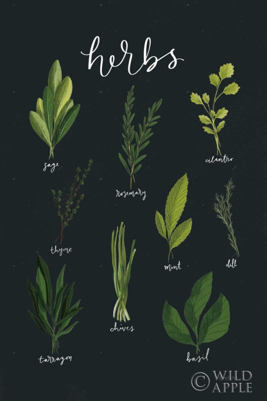 Reproduction of Herbs I Black by Becky Thorns - Wall Decor Art