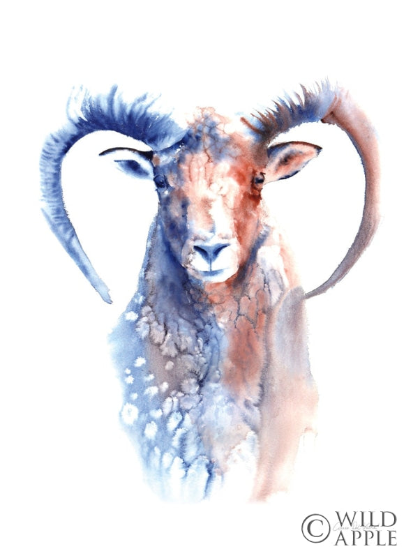 Reproduction of Copper and Blue Ram by Aimee Del Valle - Wall Decor Art