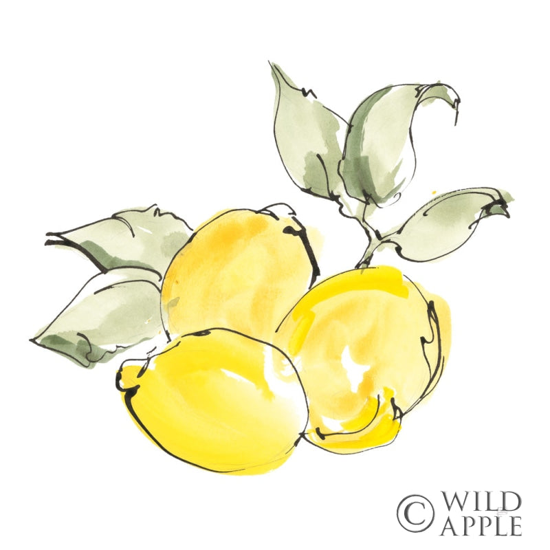 Reproduction of Lemons II by Chris Paschke - Wall Decor Art