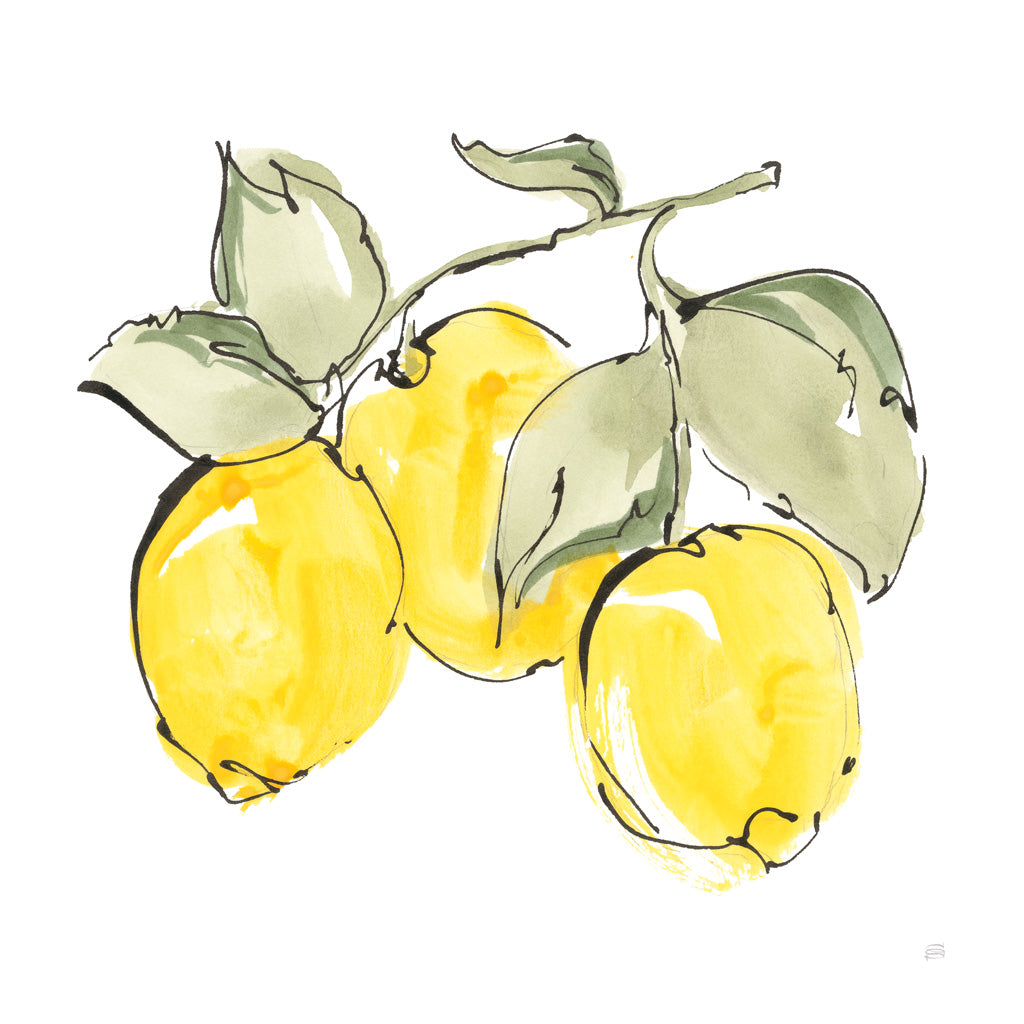 Reproduction of Lemons IV by Chris Paschke - Wall Decor Art