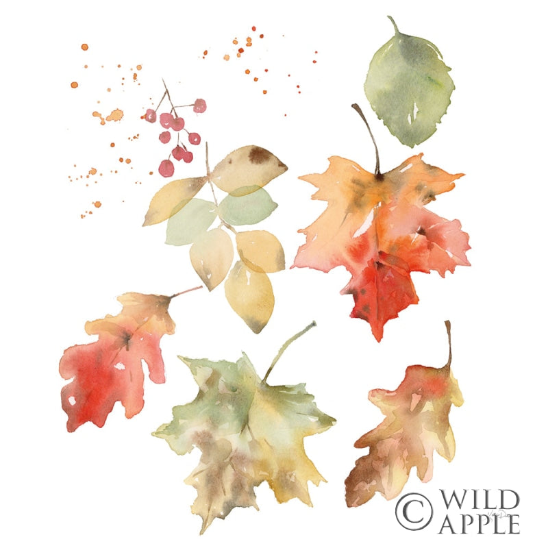 Reproduction of Falling Leaves II by Katrina Pete - Wall Decor Art