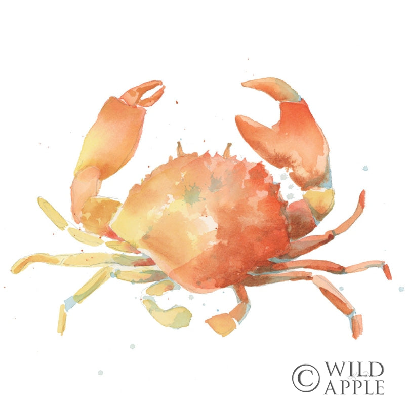 Reproduction of Summertime Crab by Katrina Pete - Wall Decor Art