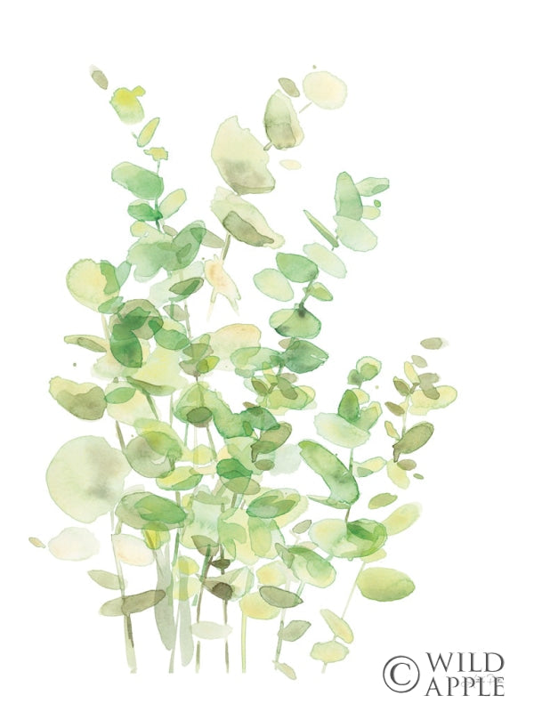 Reproduction of Eucalyptus III by Katrina Pete - Wall Decor Art