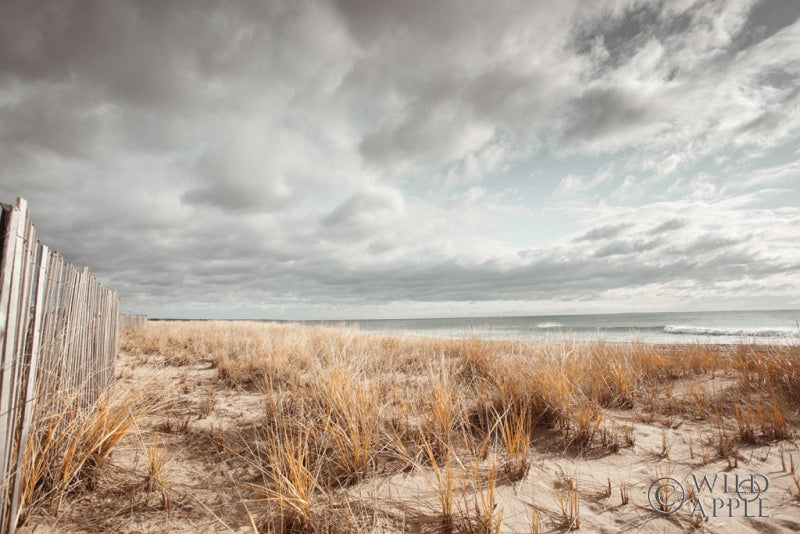 Reproduction of Atlantic Coast Afternoon by Nathan Larson - Wall Decor Art