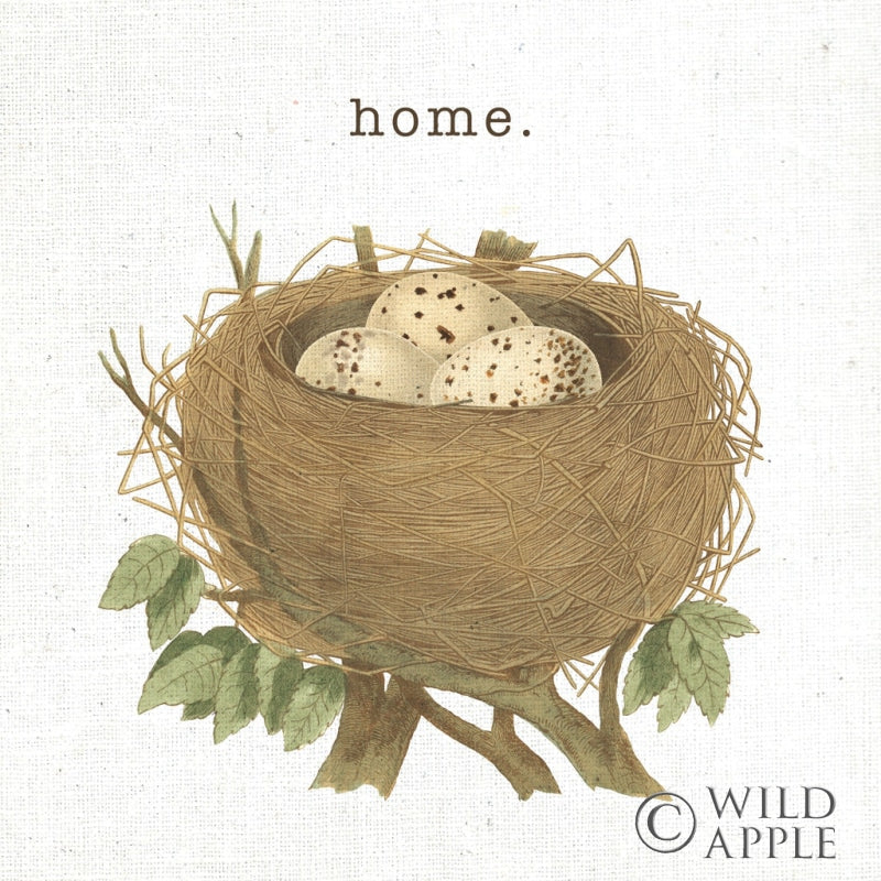 Reproduction of Spring Nest II Home by Moira Hershey - Wall Decor Art