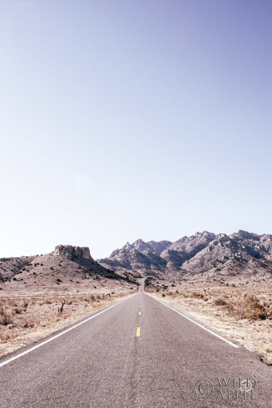 Reproduction of Dusty Desert Dreams Road by Nathan Larson - Wall Decor Art