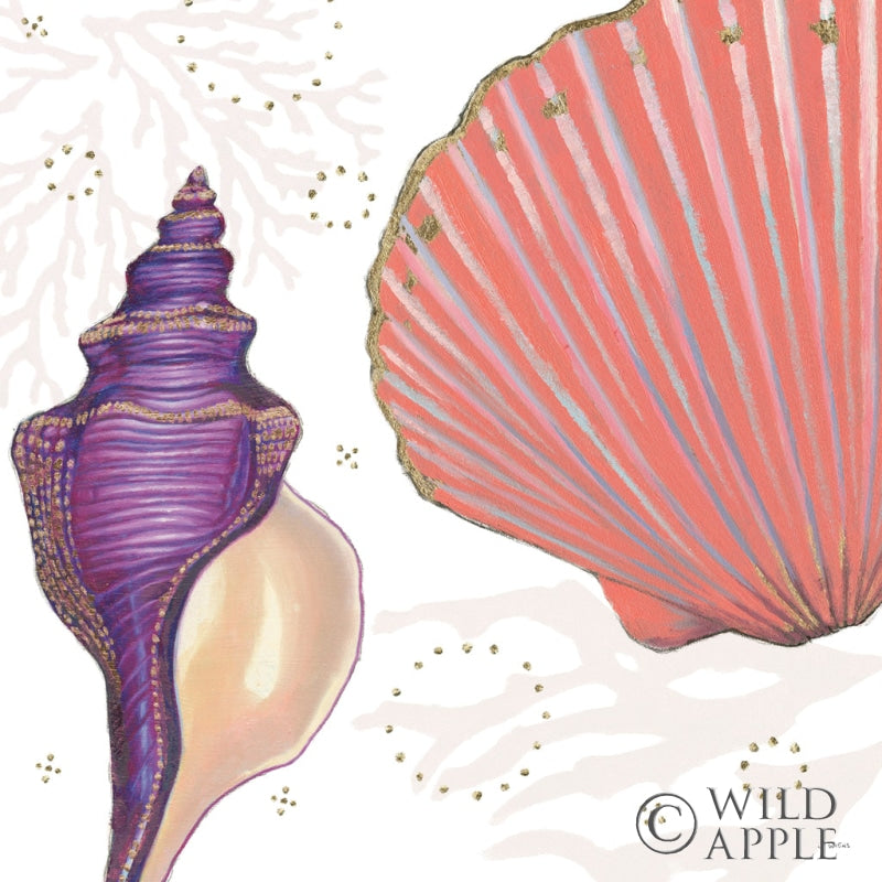 Reproduction of Shimmering Shells I by James Wiens - Wall Decor Art