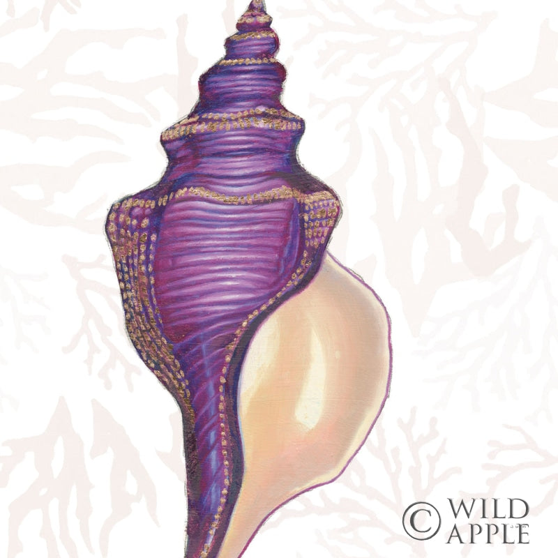 Reproduction of Shimmering Shells IX by James Wiens - Wall Decor Art