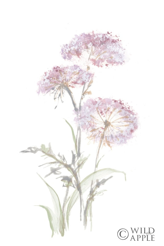 Reproduction of Tall Queen Annes Lace III by Chris Paschke - Wall Decor Art