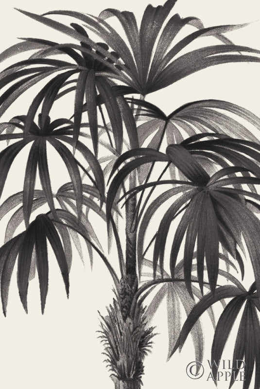 Reproduction of Riviera Palms II BW by Wild Apple Portfolio - Wall Decor Art