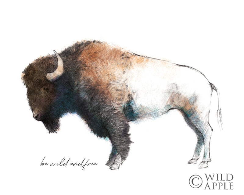 Reproduction of Wild Colorful Bison Dark Brown by Avery Tillmon - Wall Decor Art