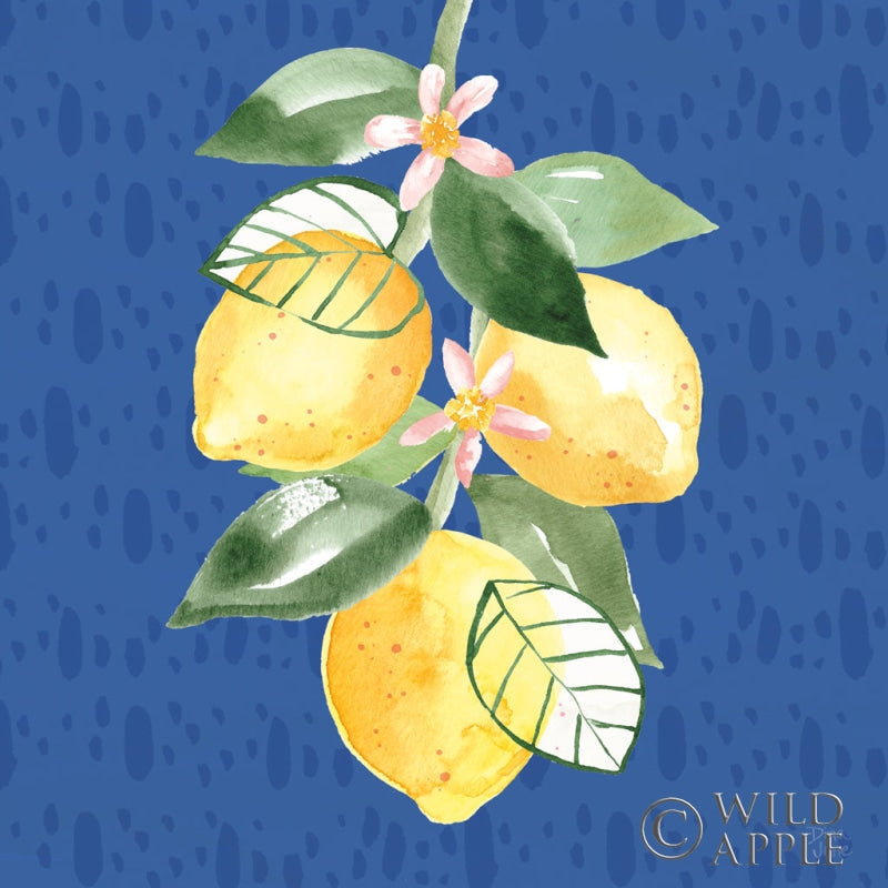 Reproduction of Citron Traditions V by Dina June - Wall Decor Art