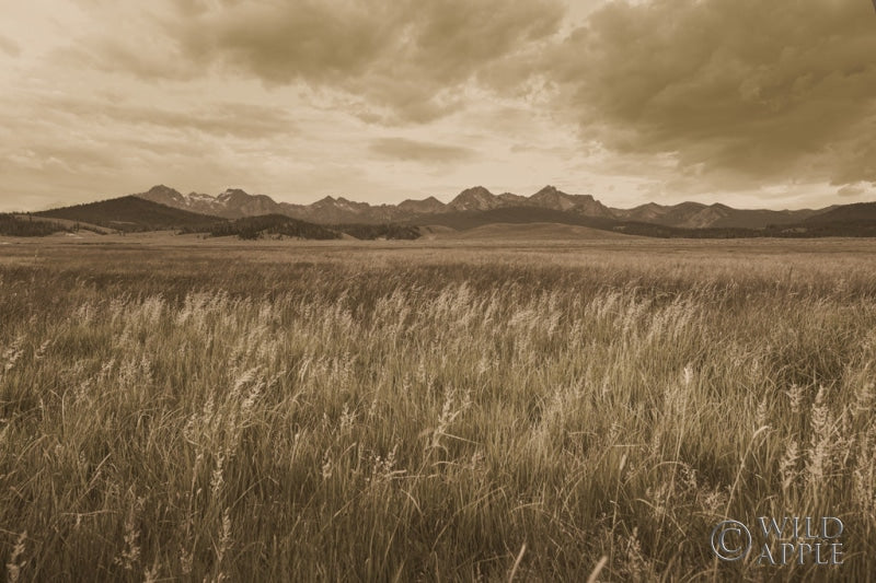 Reproduction of Sawtooth Mountains Idaho II Dark by Alan Majchrowicz - Wall Decor Art