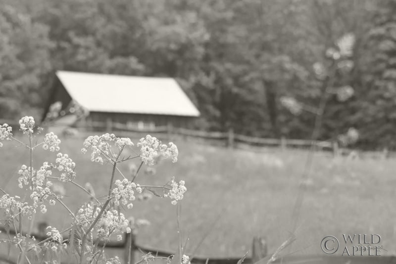 Reproduction of Summer Farm III BW by Sue Schlabach - Wall Decor Art