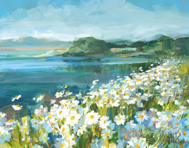 Reproduction of Wild Daisy Bay by Danhui Nai - Wall Decor Art