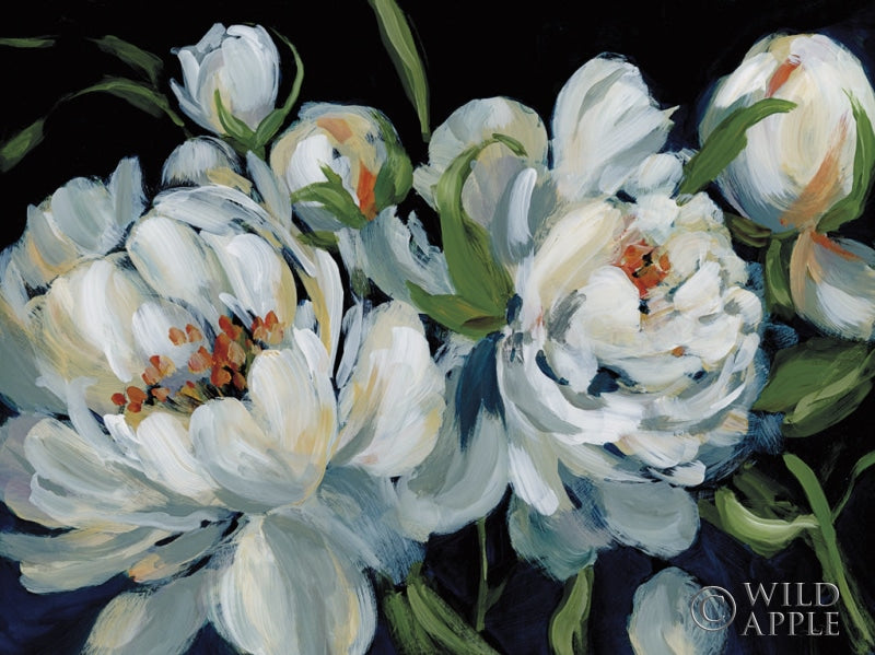 Reproduction of Peony Season I by Katrina Pete - Wall Decor Art