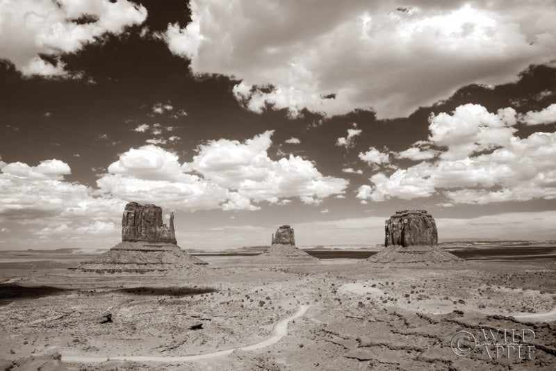 Reproduction of Monument Valley I Sepia by Debra Van Swearingen - Wall Decor Art