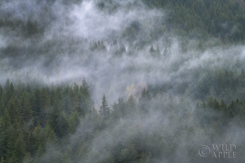 Reproduction of Misty Mountains North Cascades by Alan Majchrowicz - Wall Decor Art