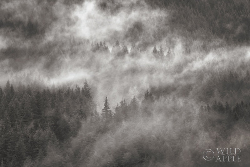 Reproduction of Misty Mountains North Cascades by Alan Majchrowicz - Wall Decor Art