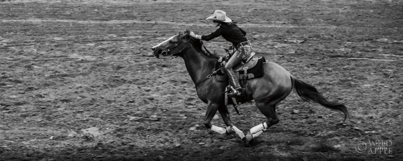 Reproduction of Rodeo II BW by Nathan Larson - Wall Decor Art