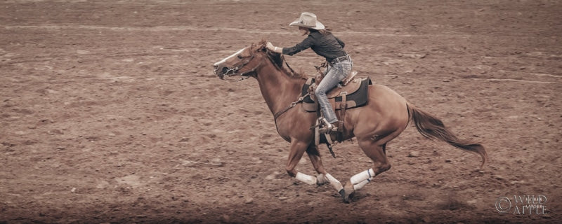 Reproduction of Rodeo II by Nathan Larson - Wall Decor Art