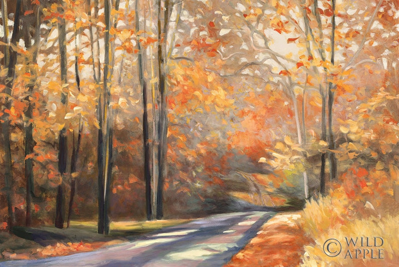 Reproduction of Country Road by Julia Purinton - Wall Decor Art