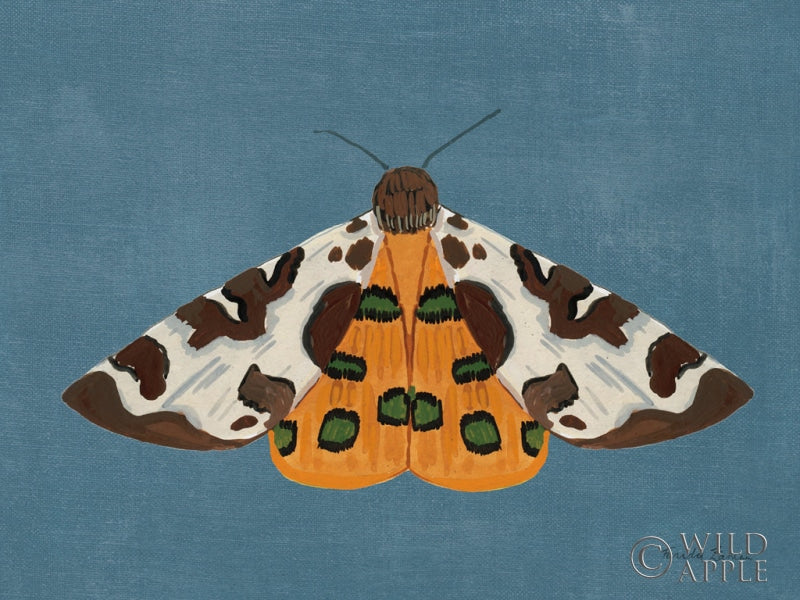 Reproduction of Textured Moth II by Farida Zaman - Wall Decor Art