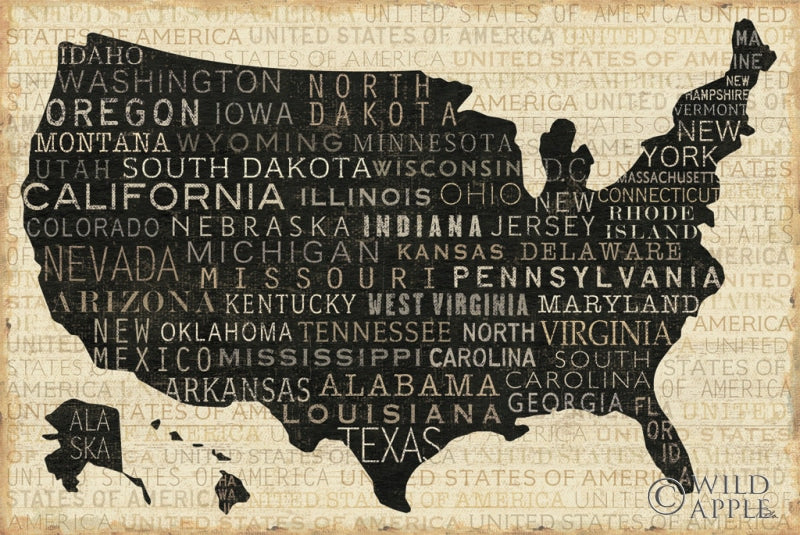 Reproduction of USA V by Pela Studio - Wall Decor Art