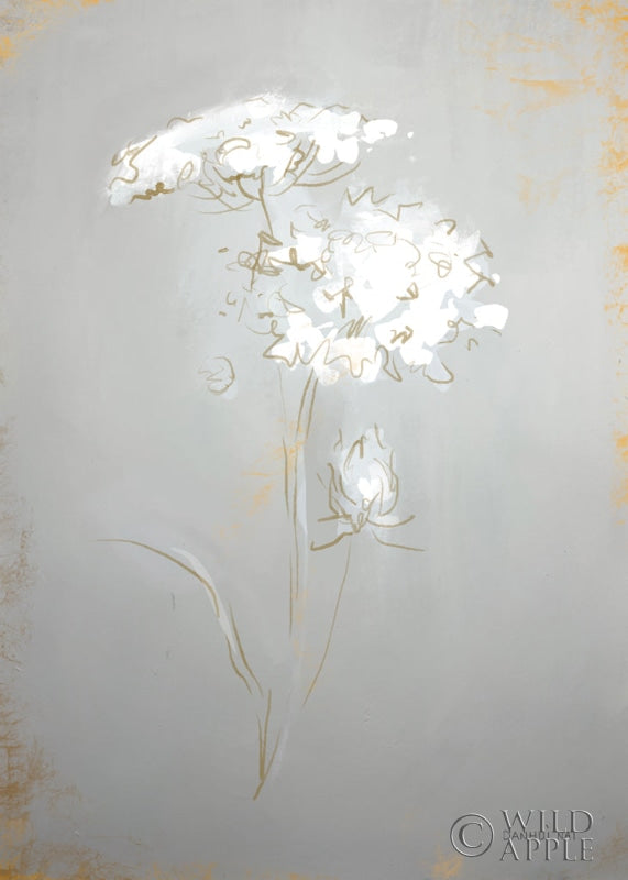 Reproduction of White Floral Sketch II by Danhui Nai - Wall Decor Art