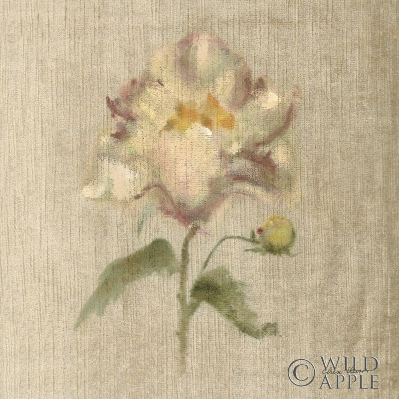 Reproduction of Velvet Peony by Cheri Blum - Wall Decor Art