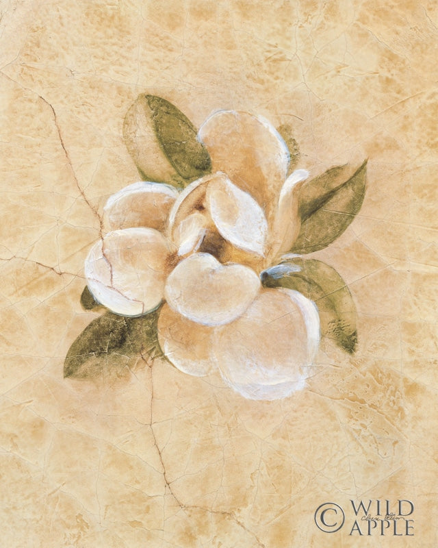 Reproduction of Magnolia on Cracked Linen by Cheri Blum - Wall Decor Art