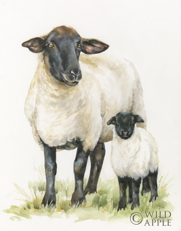 Reproduction of Sheep by Leslie Trimbach - Wall Decor Art